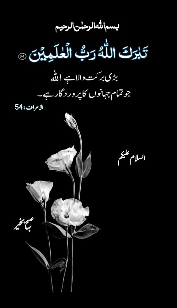 Qalbe_mann tweet media