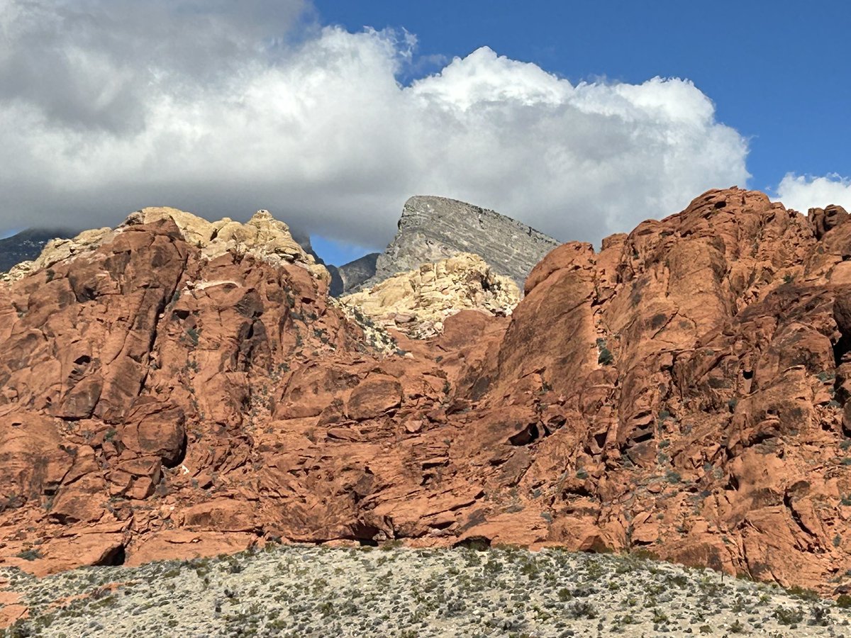 Ari Odzer tweet media