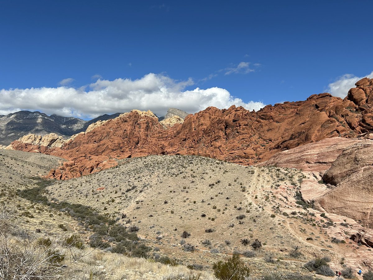 Ari Odzer tweet media