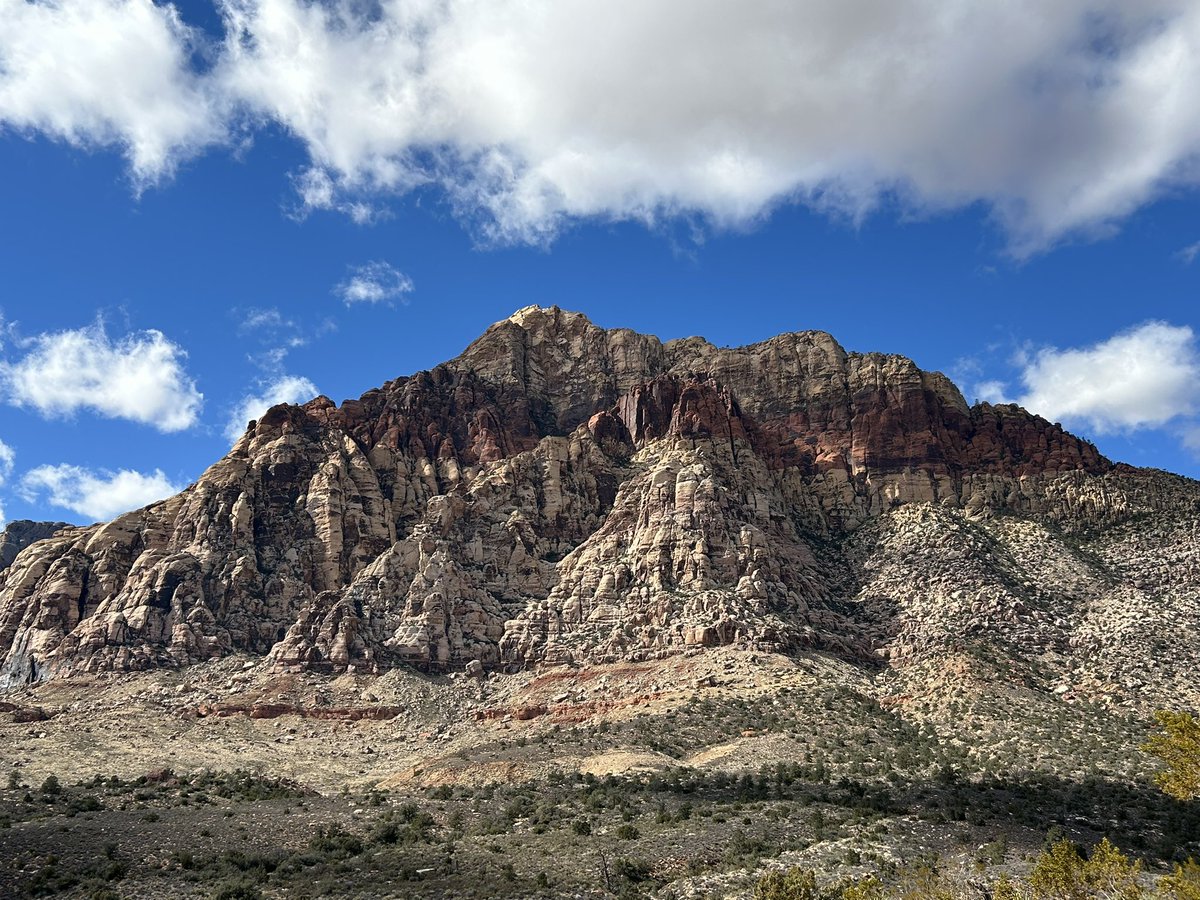 Ari Odzer tweet media