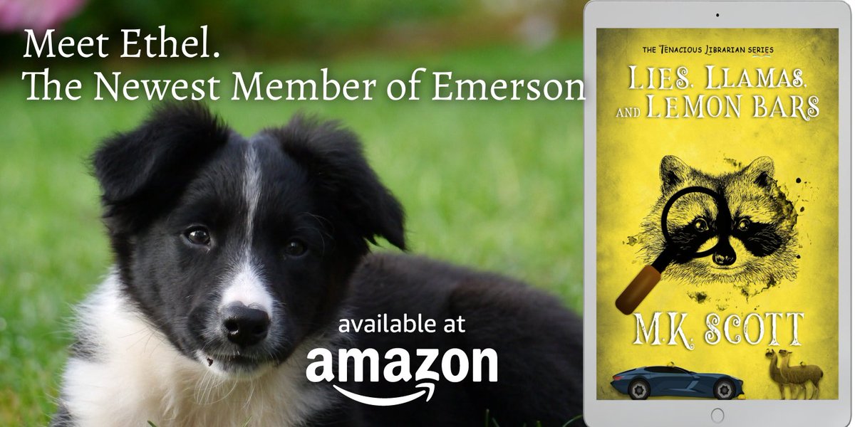🦙Something’s not quite right in Emerson. Old secrets bubble to surface, exposing uncomfortable truths. Tenny is determined to uncover the facts of an age-old scandal. Only she might not like what she finds or at what cost. #cozymystery amazon.com/dp/B0CS42XSDC