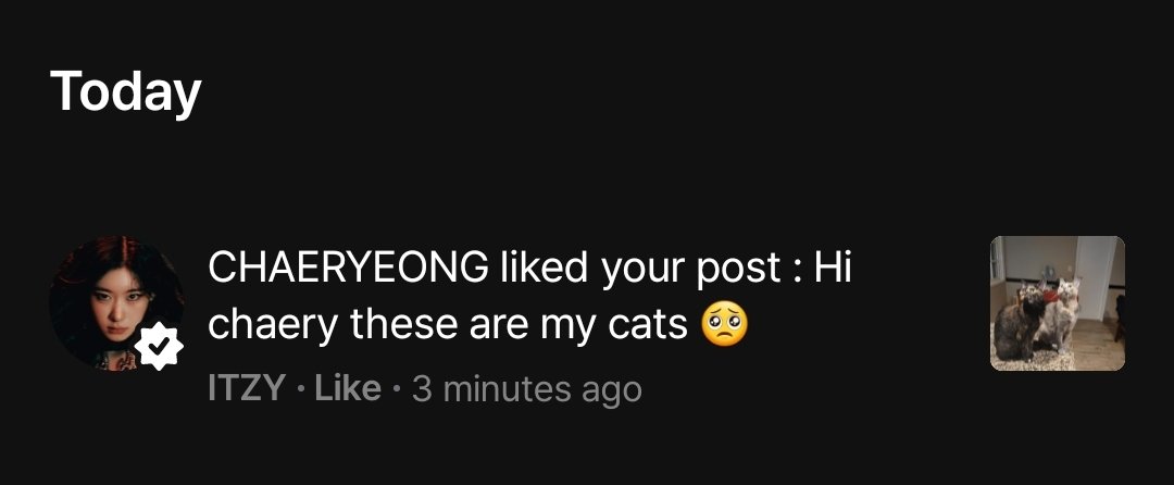 Sofía VIO A CHAERYEONG ❤️‍🩹 tweet media