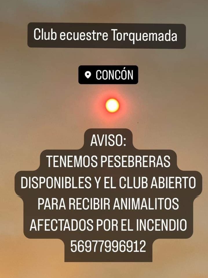 PiensaPrensa's tweet photo. Club ecuestre en CONCÓN ofrece pesebreras para recibir anImalitos afectados por el incendio https://t.co/m3BqXxsMYK