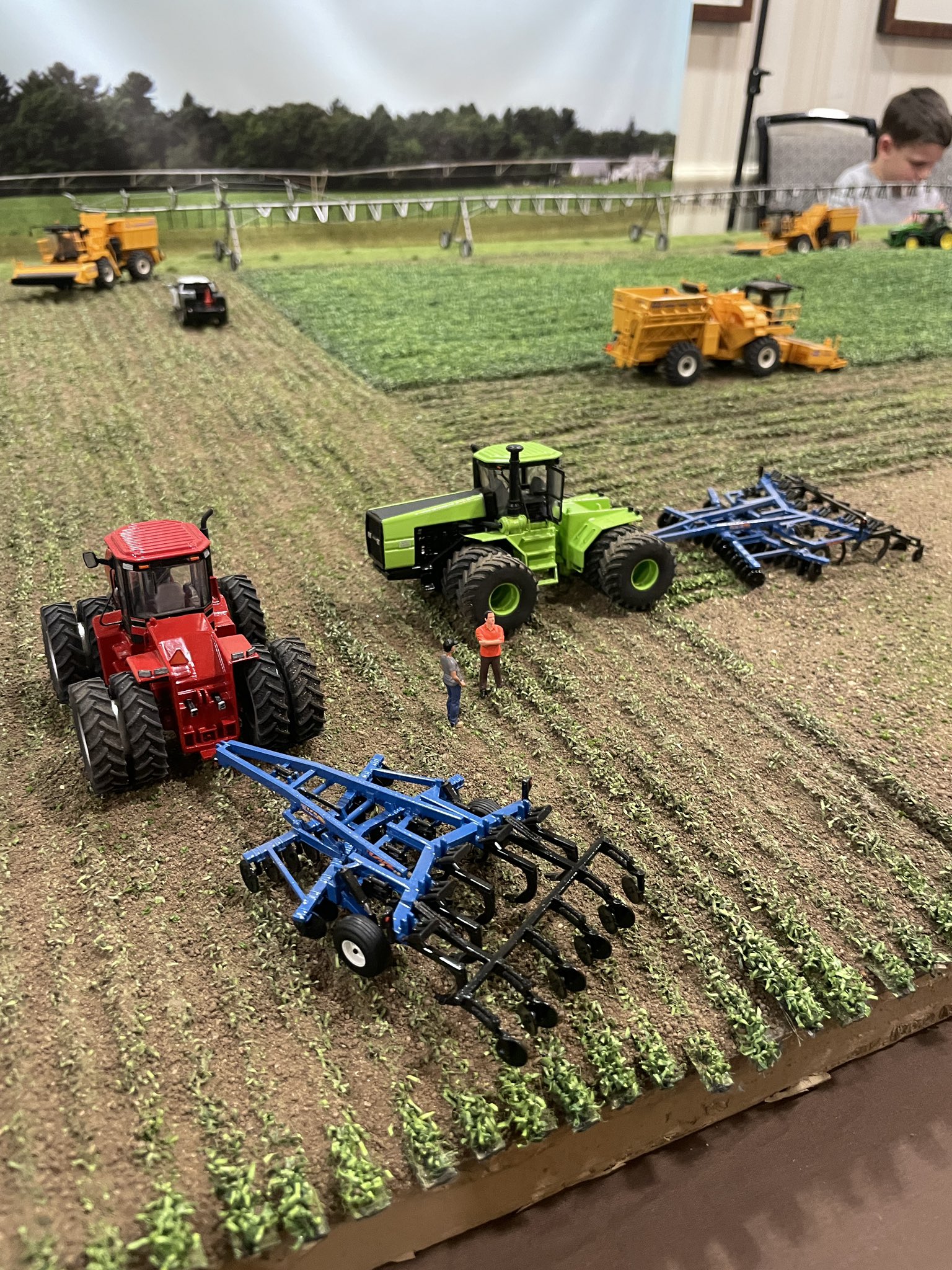 Your St. Louis Farm & Garden Dreams: Affordable Craigslist Options - mnw9m27