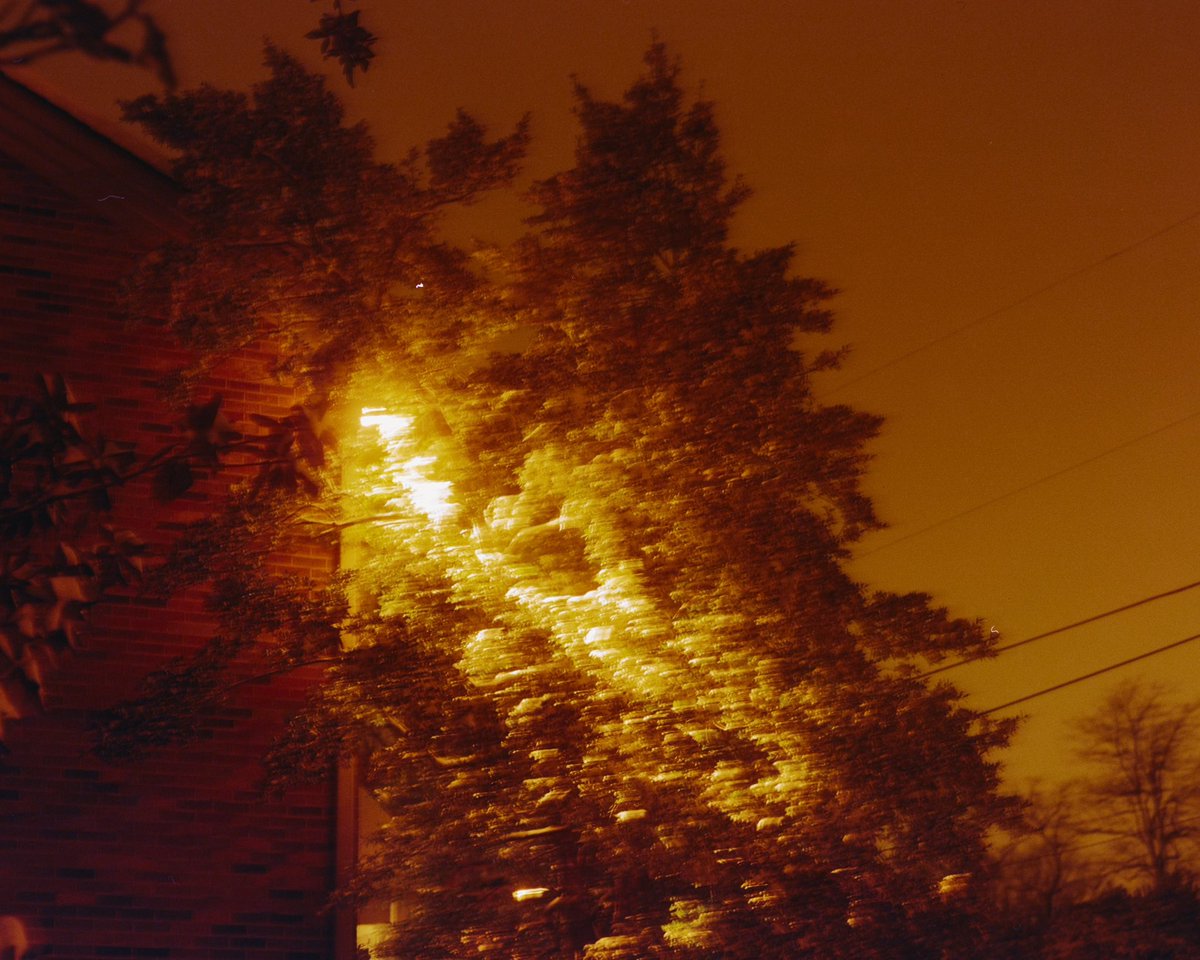 A night in the snow on Lomo redscale 🎞️