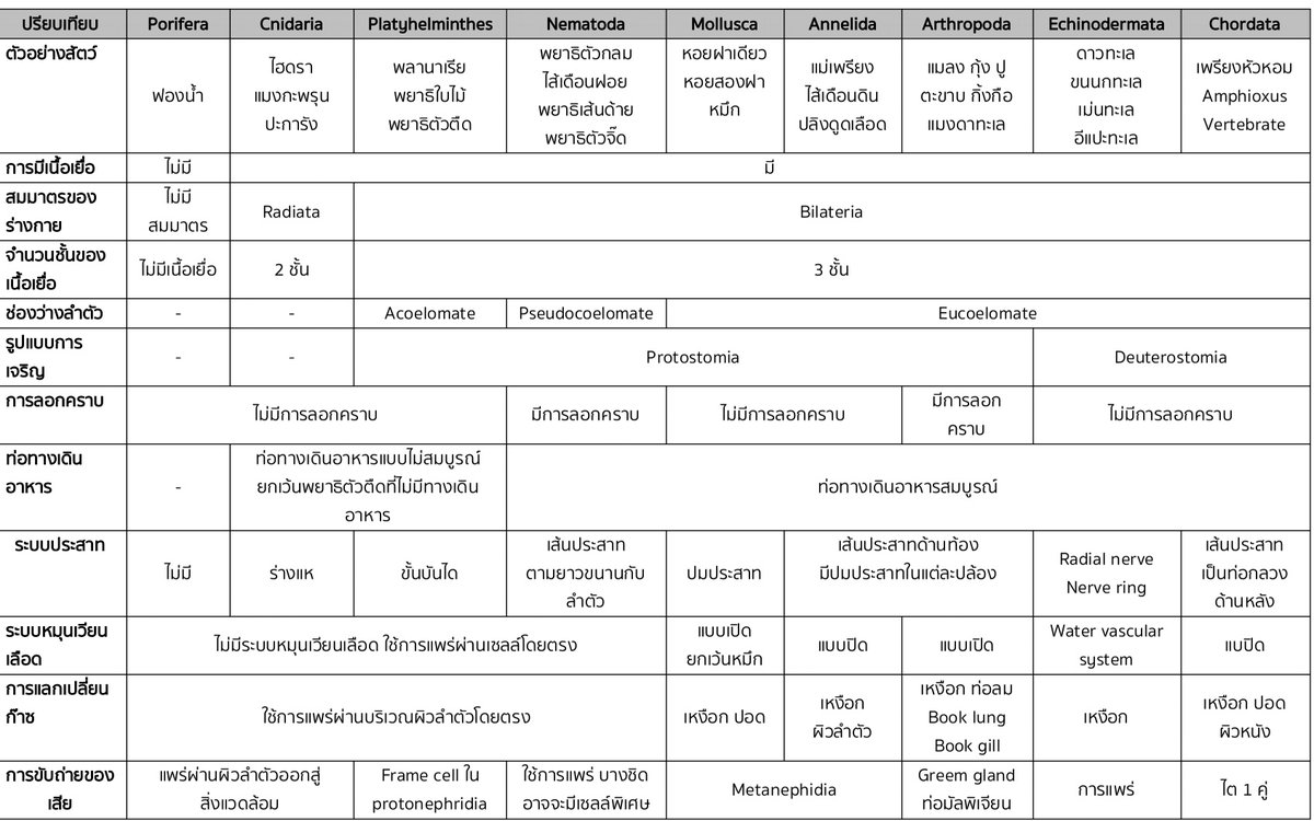 thebiocharge's tweet photo. แจก สรุปอาณาจักรสัตว์ #netsat #ชีววิทยา https://t.co/eCDSvucGbi
