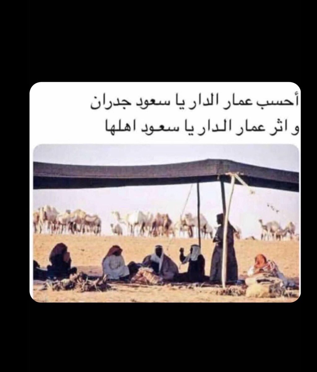 The-Fuzzzzz tweet media