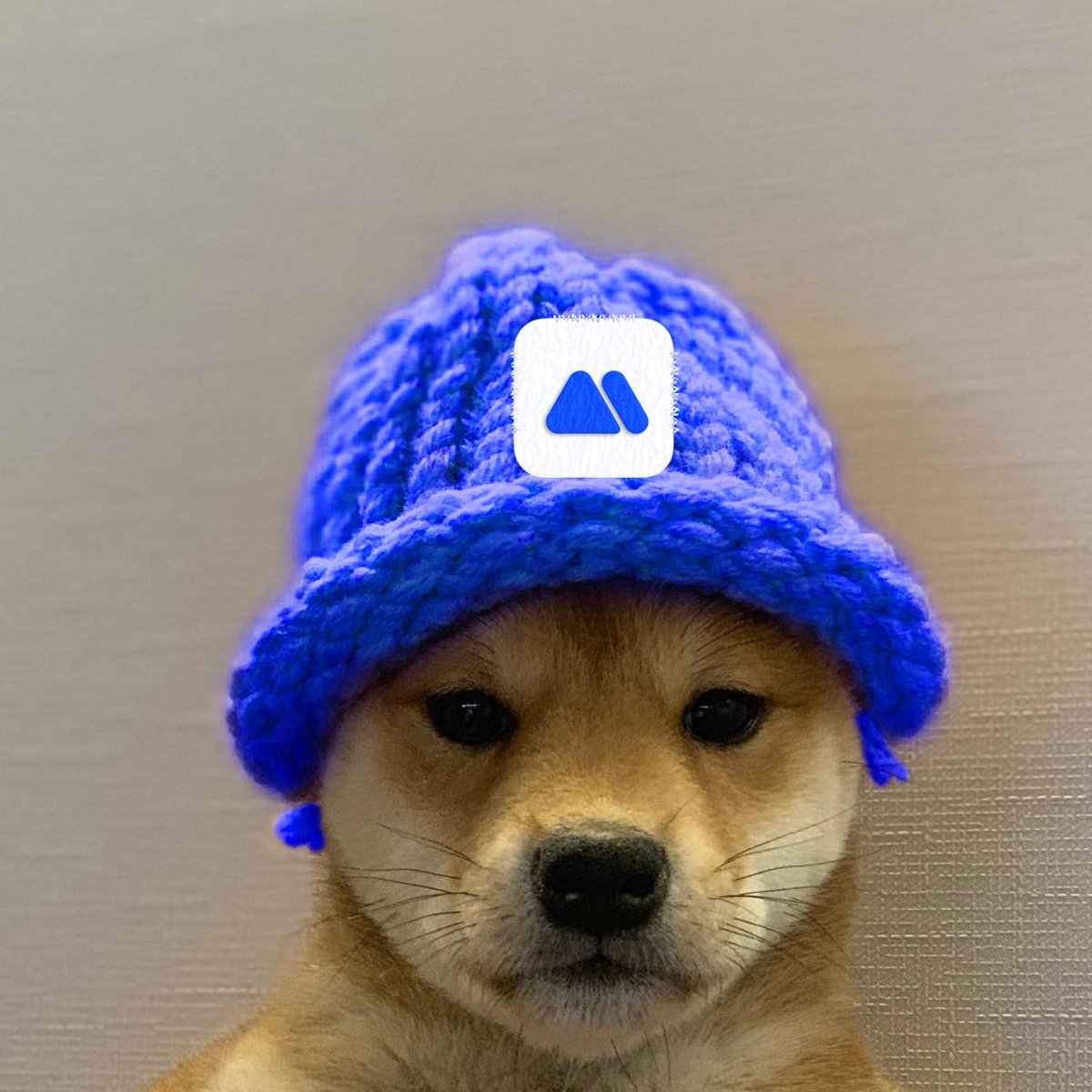 MEXC within 24 hours.... probably nothing....