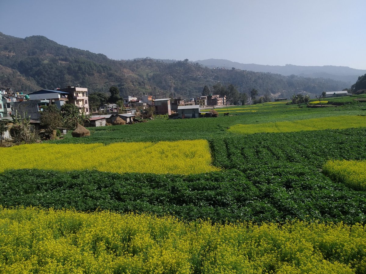 DamberRasic's tweet photo. हरियाली मेलम्ची टार https://t.co/mmTAww8qSD