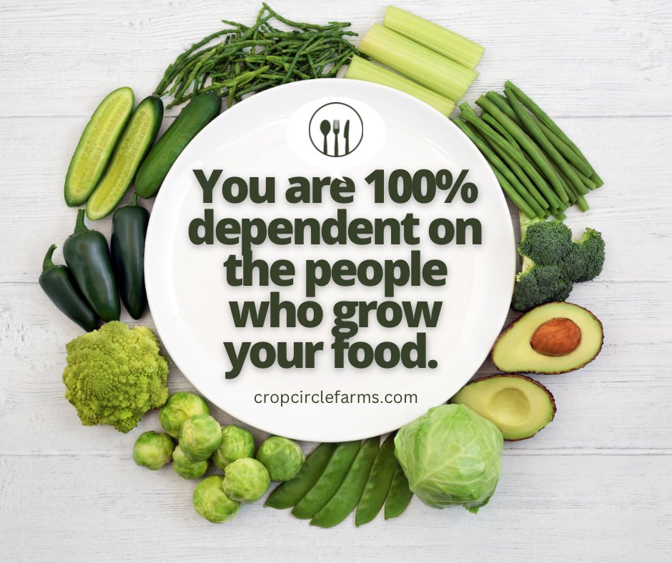 You are 100% dependent on the people who grow your food. Read that again. 

#farmers #foodsupplychain #growyourownfood🌱  #agriculture  #dependence #resilence