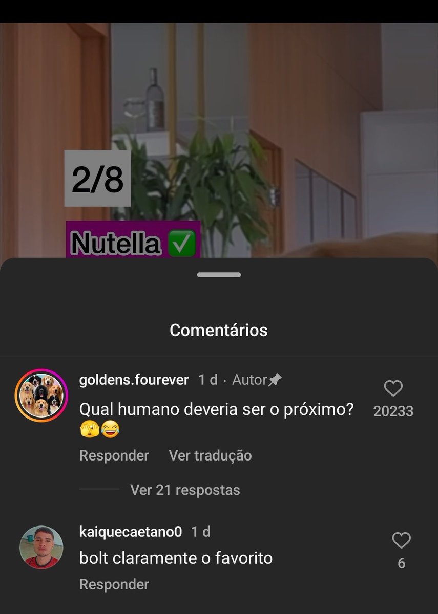 O cara fica comentando em vídeo de cachorro mas nada de lançar o kit, <a href="/kaiquecaetano0/">tira o ja</a> bora meu fi