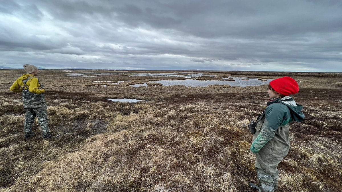 (1) A Story of Science on Alaska’s Yukon Delta | Chapter 1: The Place The Yukon-Kuskokwim Delta, a vast and remote 32 million-acre coastal plain in southwestern Alaska, is considered by many the 3rd most important region for breeding waterfowl in all of North America, behind