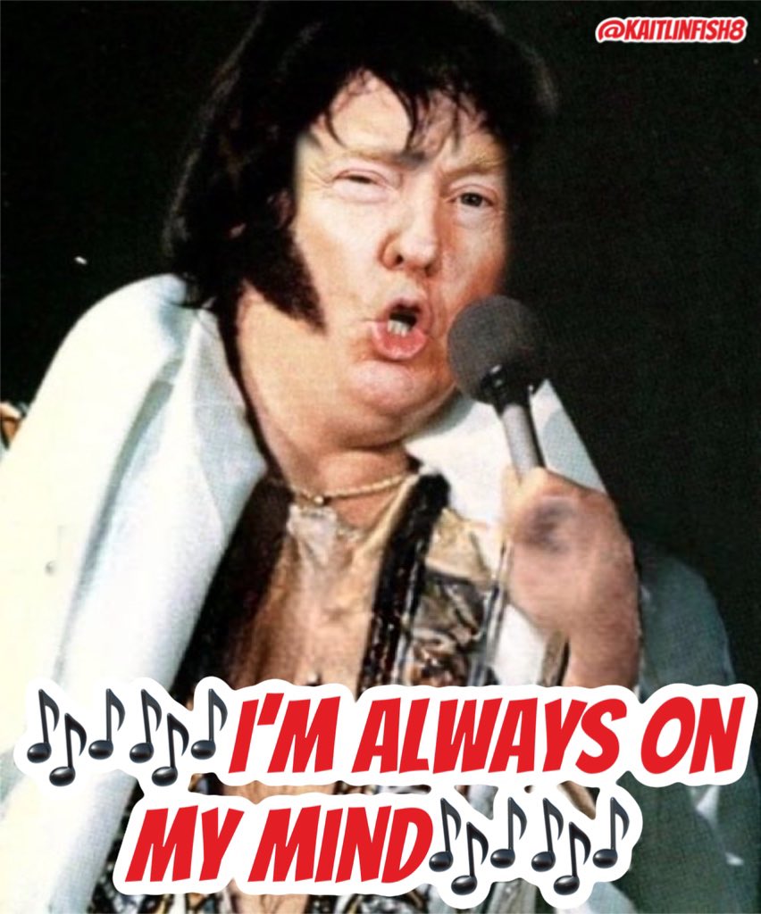 HOLY SHIT!! Donald Trump does look like fat Elvis!!🥳🥳🥳