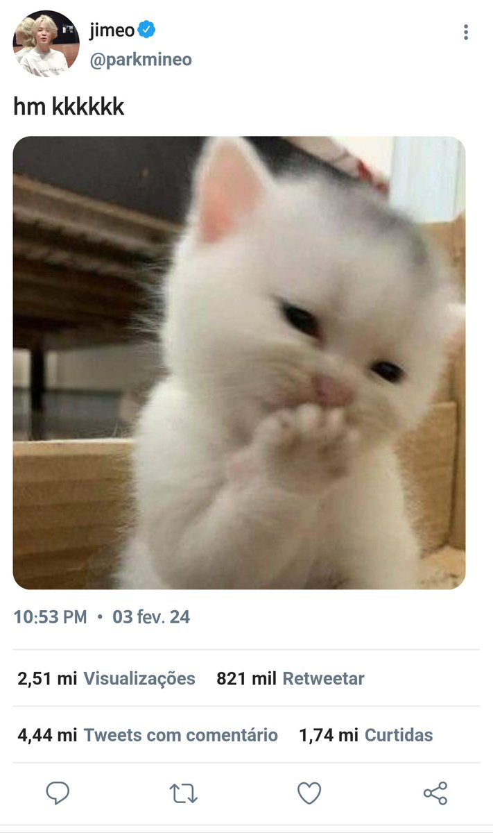 sininho samu'riel 🔔 tweet media