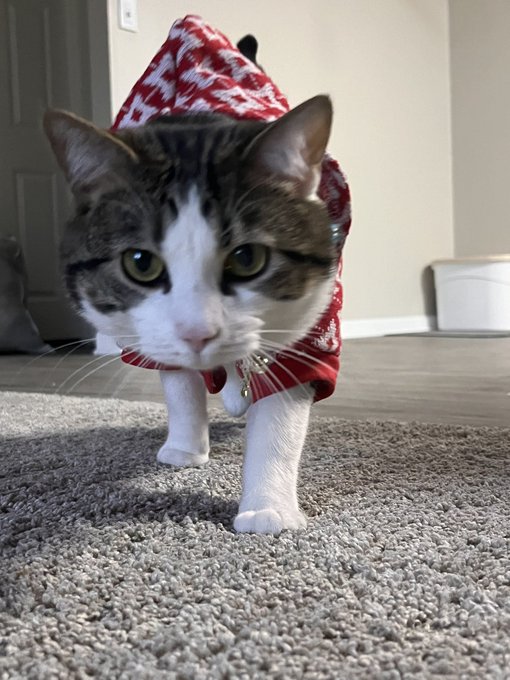 I got my son a sweater ❤️ https://t.co/MXpEKncSeX