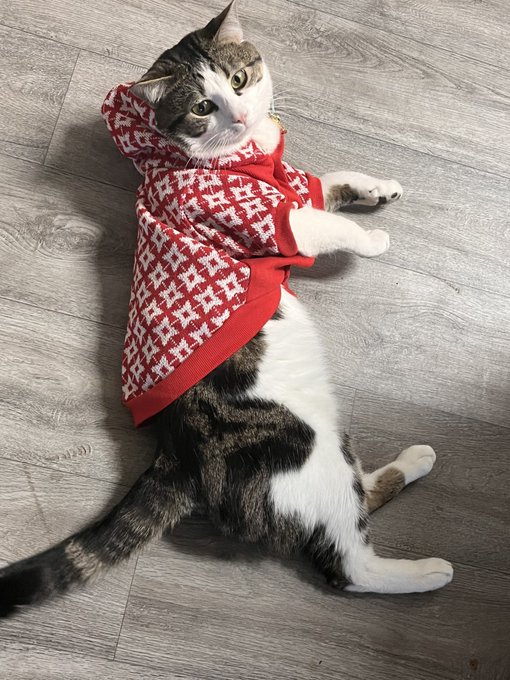 I got my son a sweater ❤️ https://t.co/MXpEKncSeX