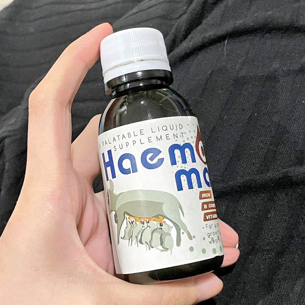 joeboyking93's tweet photo. Pernah je aku kerja dekat Pet Pharmacy sebelum² ni. So ada lah sikit info yg boleh aku kongsi.

Kalau kucing korang dah start lemah, bulu asyik gugur, sakit mata, kurap teruk, kurus kering sebab kurang selera makan, ada 7 jenis vitamin yang wajib aku share dekat korang.

📌Thread https://t.co/4X6rYhppyg