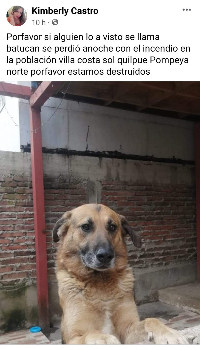 PobleteELF's tweet photo. Región de Valparaíso
#IncendiosForestales
#MascotaPerdida
#IncendioForestal
#URGENTE
Reñaca Alto
Curauma
Canal Beagle
Quilpué
Pompeya Norte https://t.co/IHSBxPAwnW
