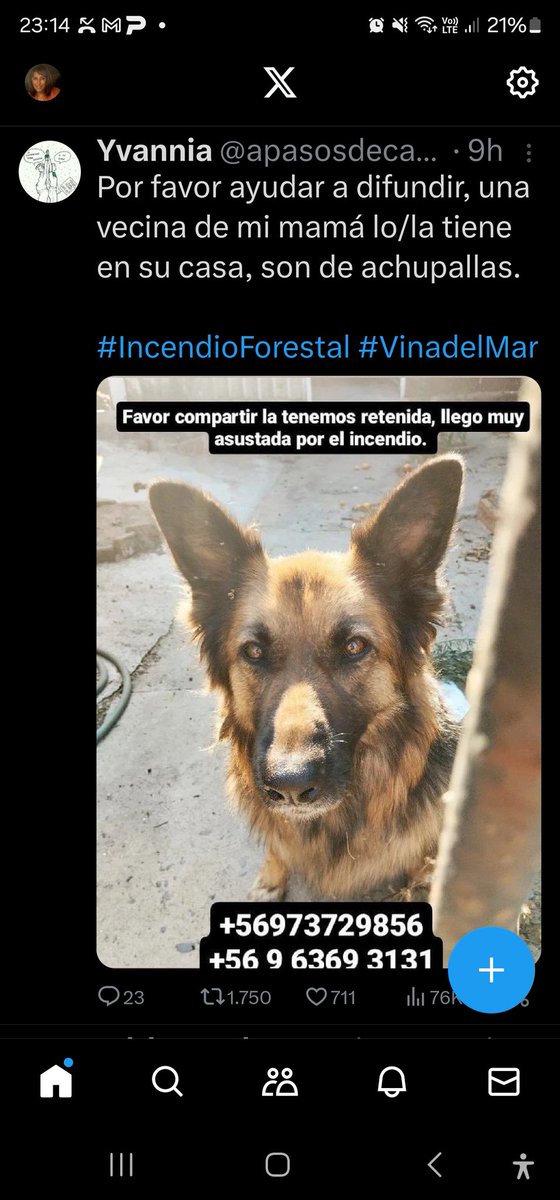 claudiahernan2's tweet photo. @kotarebi https://t.co/TFYym99JWc