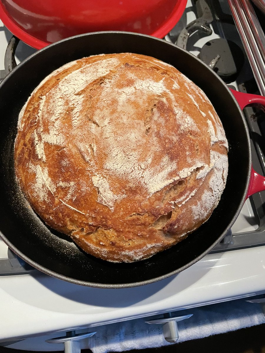 Jaroslava Seflova tweet media