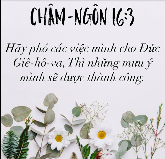 HÀ ĐÔNG $$$$ .vn POT (@thanhdongt17781) on Twitter photo 