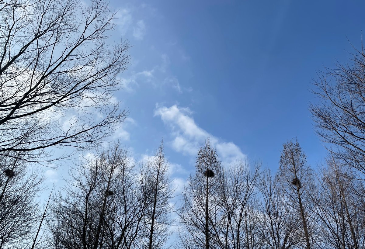 simplepoem2's tweet photo. 입춘이구나. 좀 더 세상 가까이로. https://t.co/W0gsb52yV7