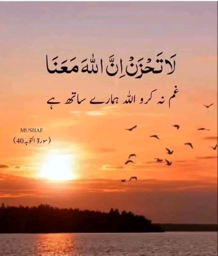 tosee11289753's tweet photo. A. O. A Good morning my friends and family👪 https://t.co/jTxCQgmo2g