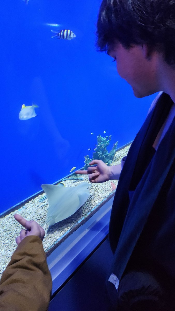 Jason グリープ tweet media