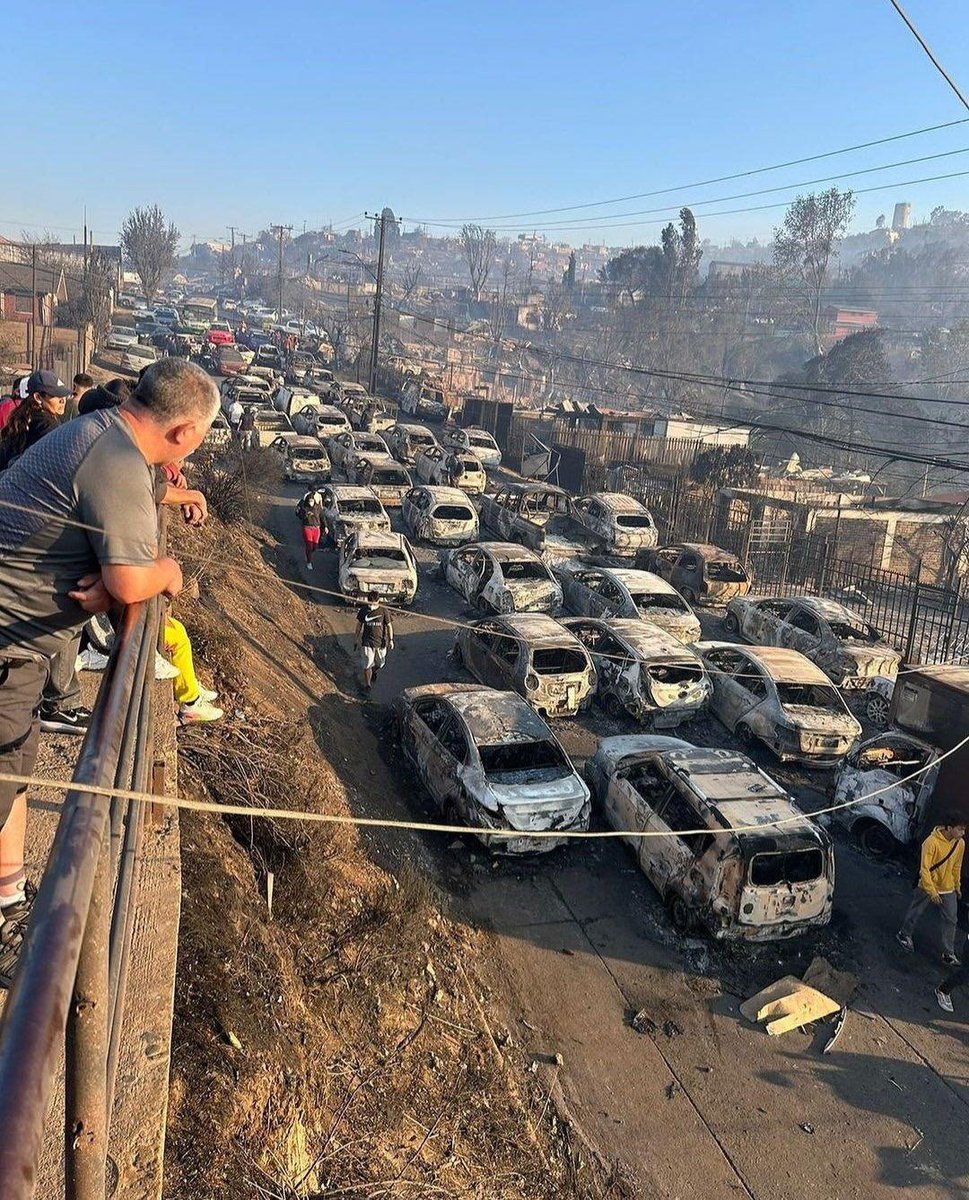 lobofacho's tweet photo. 📌 Murieron personas calcinadas 🔥en sus autos ‼️
Tratando de salir o no sabiendo qué hacer. 😳😣😥
CALCINADAS EN SUS AUTOS !!   
El jueves en la tarde estaba viendo TV y  tomando once y 24 hr después estaban calcinadas 😑

Sé que muchos no pensarán como yo pero esto amerita que se discuta y restablezca legalmente la PENA DE MUERTE en Chile.  En la justicia militar está vigente. Código penal debe restablecerla.  
Dos veces que se aplique y se van a ir todos los HDP a su país de vuelta y si son chilenos también se van a ir también.

No hay otra manera de parar los cuerpos flotando, descuartizados, cabezas, secuestros, mujeres violadas y lanzadas al mar, incendios intencionales, narco terrorismo  @Camara_cl  @Jou_Kaiser 

Salvo que los civiles podamos portar armas legalmente.  

#Valparaiso 
#IncendioForestal 
#boricatacandoalpueblo 
Miraflores V Región cárcel #MerluzoDemente