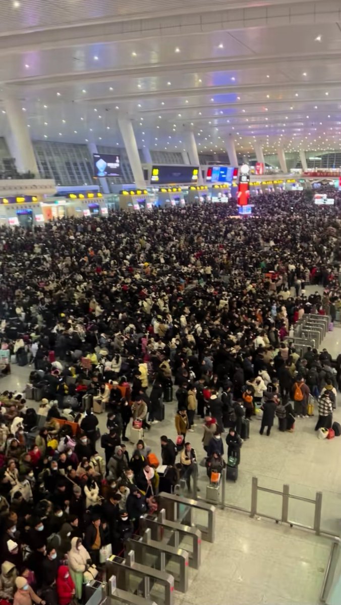 杨凡🇨🇳 tweet media