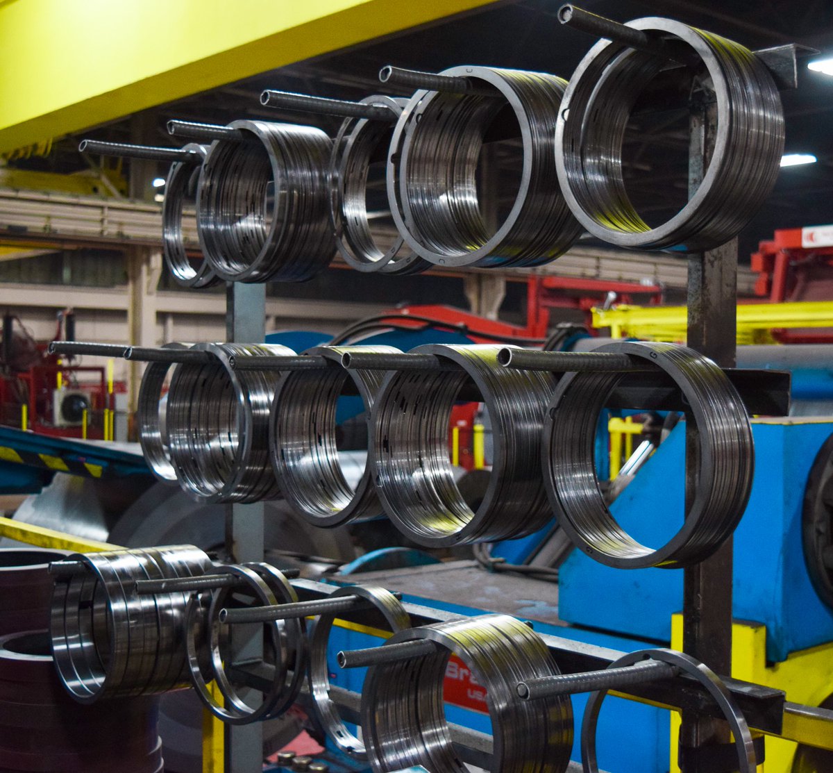 alejandra morelos tweet media