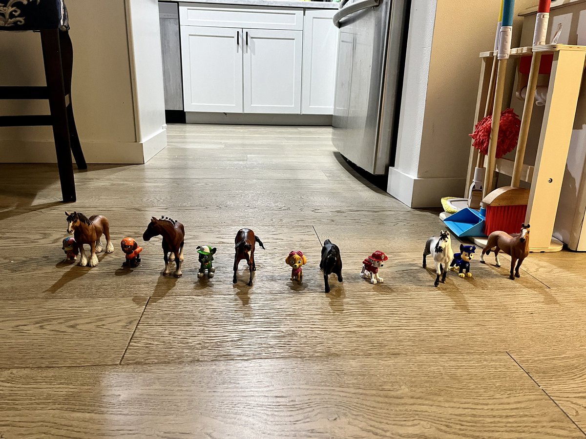 @katisills.bsky.social tweet media