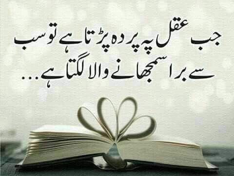 #OTDirecto2F #bbvipks2 #LoveIslandAllStars #AFCON2023 #AFCON2024