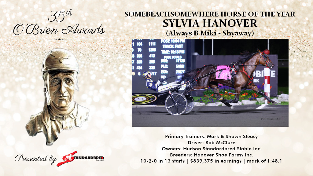 trotinsider's tweet photo. Congratulations to the connections of Sylvia Hanover, winner of the 2023 Somebeachsomewhere Horse of the Year as announced at the 35th O'Brien Awards Gala #harnessracing https://t.co/sP1ekqTVZd