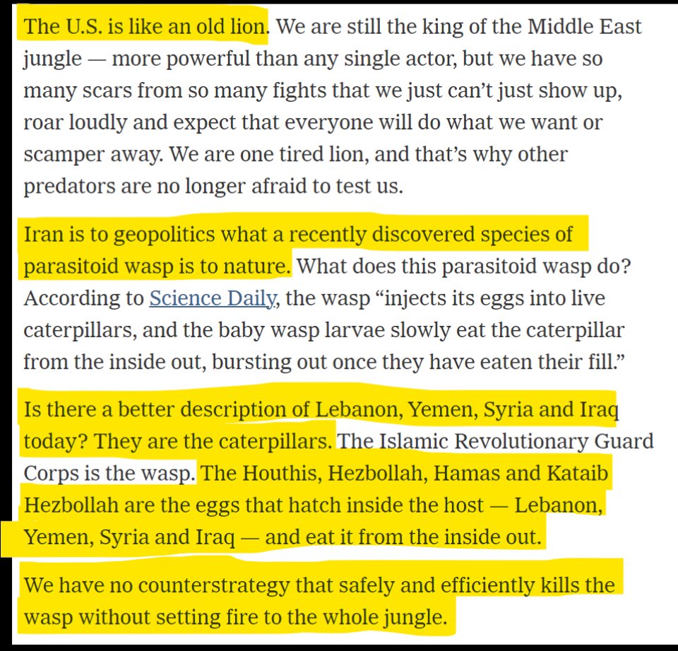 Katie Halper tweet media