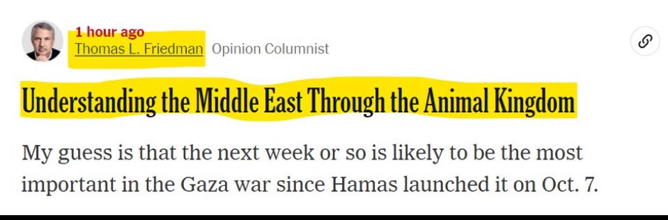 Katie Halper tweet media