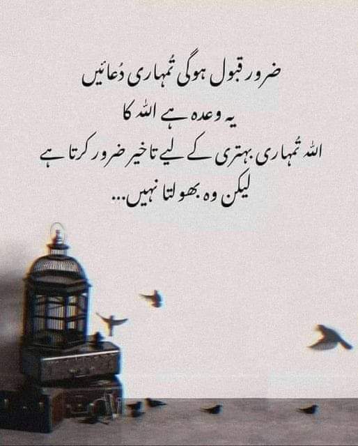 #OTDirecto2F #bbvipks2 #LoveIslandAllStars #AFCON2023 #AllStars