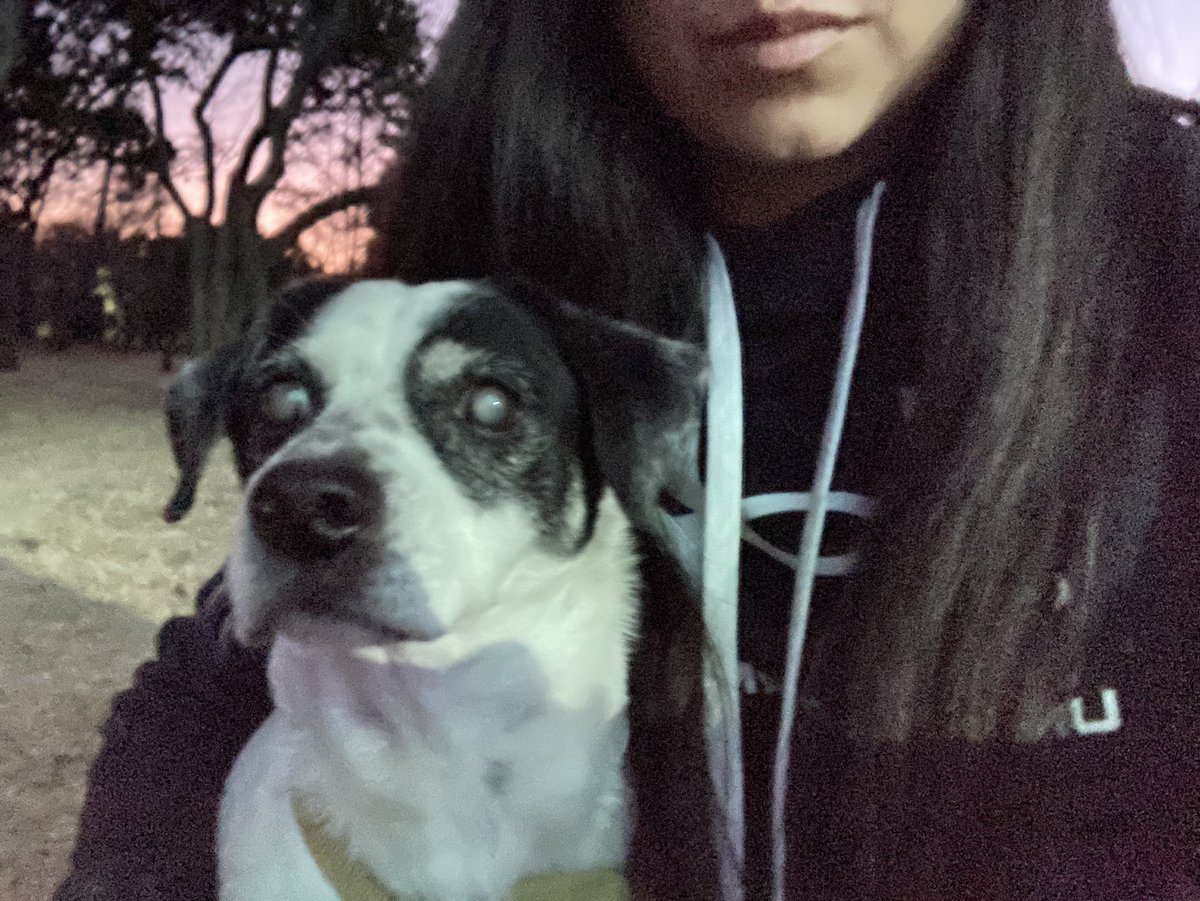 anshhhhie's tweet photo. picnic semanal con brunito y cuco 🧺🐾 https://t.co/wtxFNgzcWI