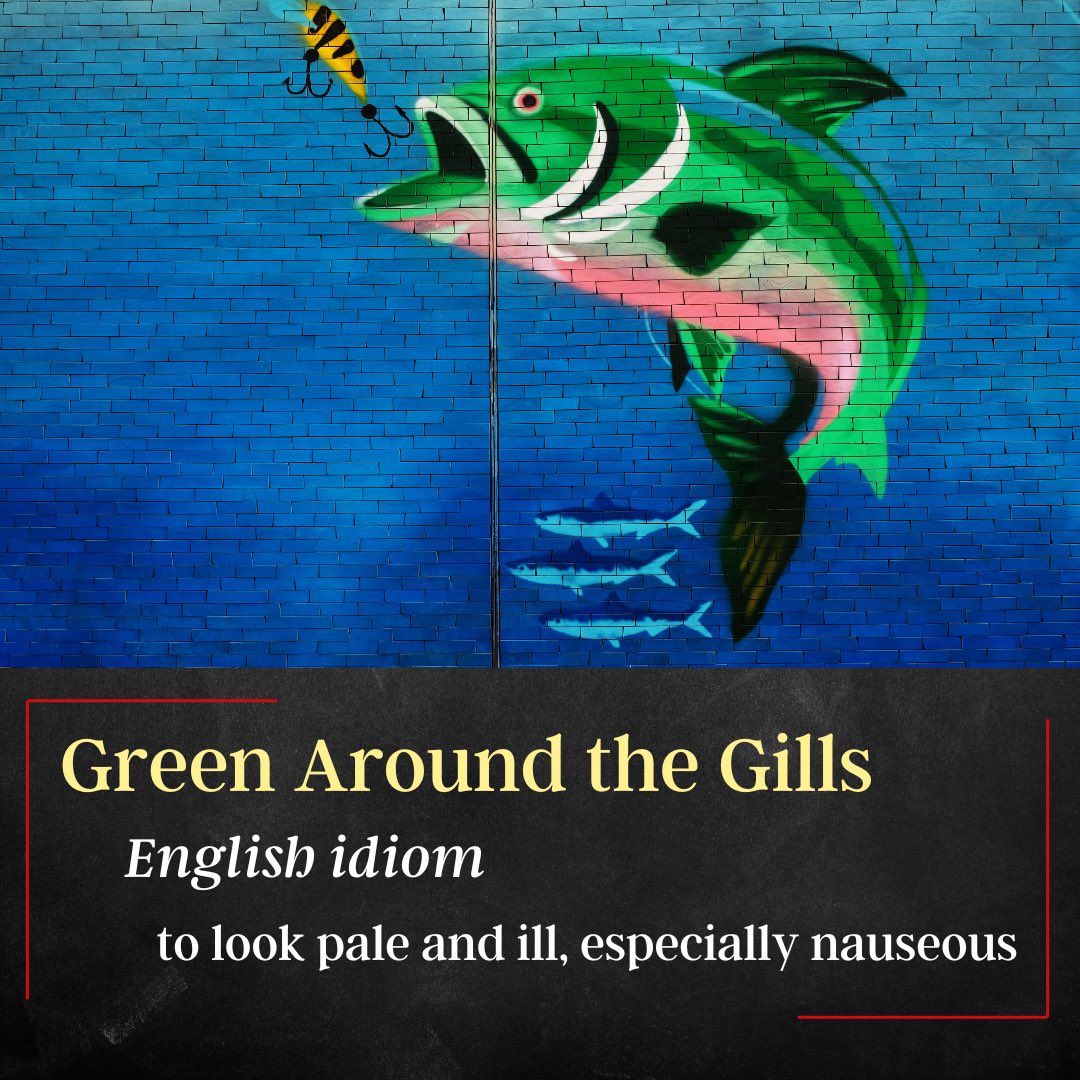 LearnEnglishPod's tweet image. 🐟 Feeling a little &quot;green around the gills&quot;? This #Englishidiom describes someone looking pale and unwell, like they might just vomit. 

🎙️🎧Listen to this week&apos;s Learn English Podcast to learn more idioms so you can sound like a native speaker! 📚

youtu.be/KoGC_VPFykU