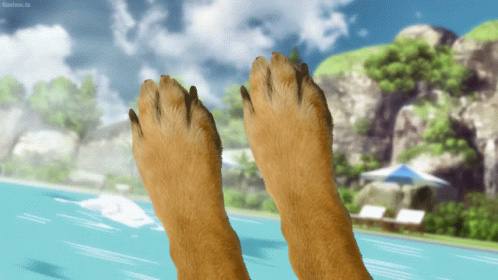 MPOX_DBA's tweet image. That's Mediterranean water, buddy. I know how to pick em. DogeBonk is next. Two more weeks give or take.