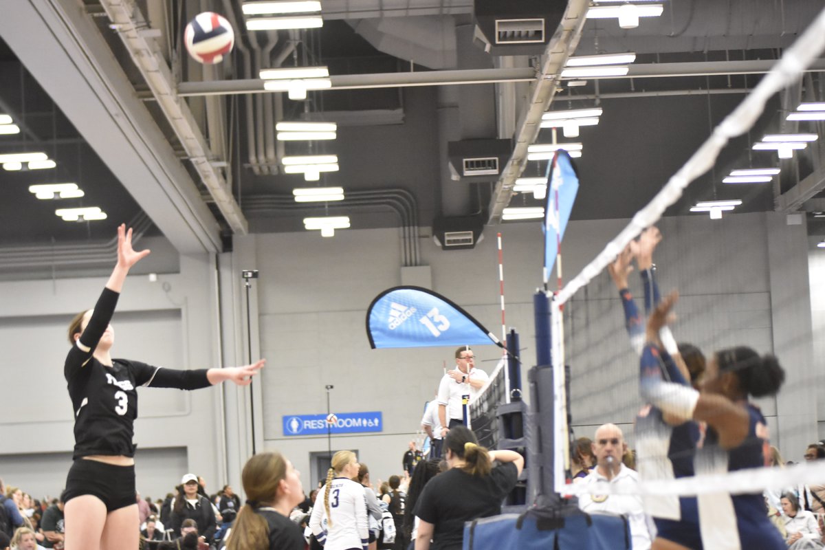 MadFrog182024 tweet media