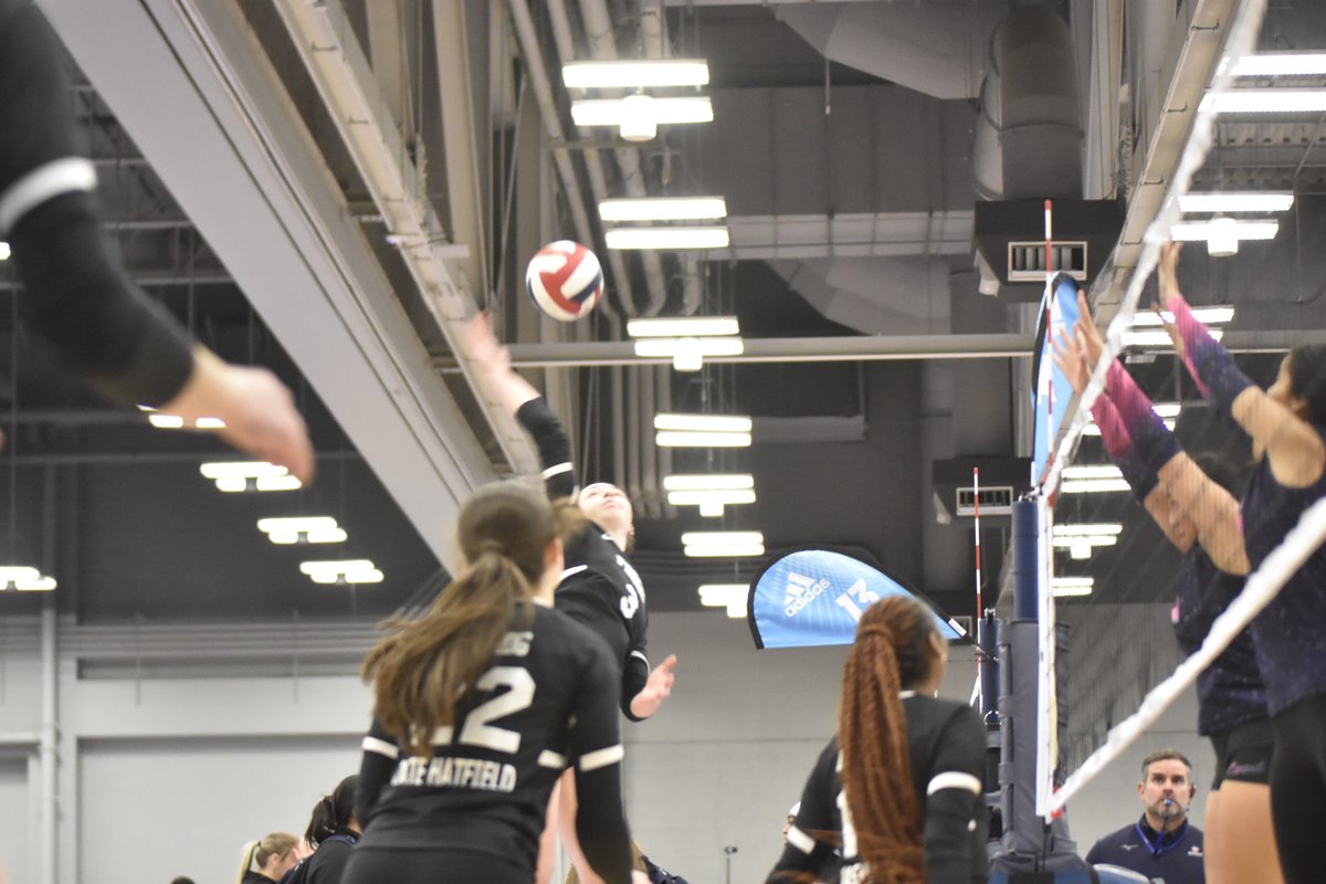 MadFrog182024 tweet media