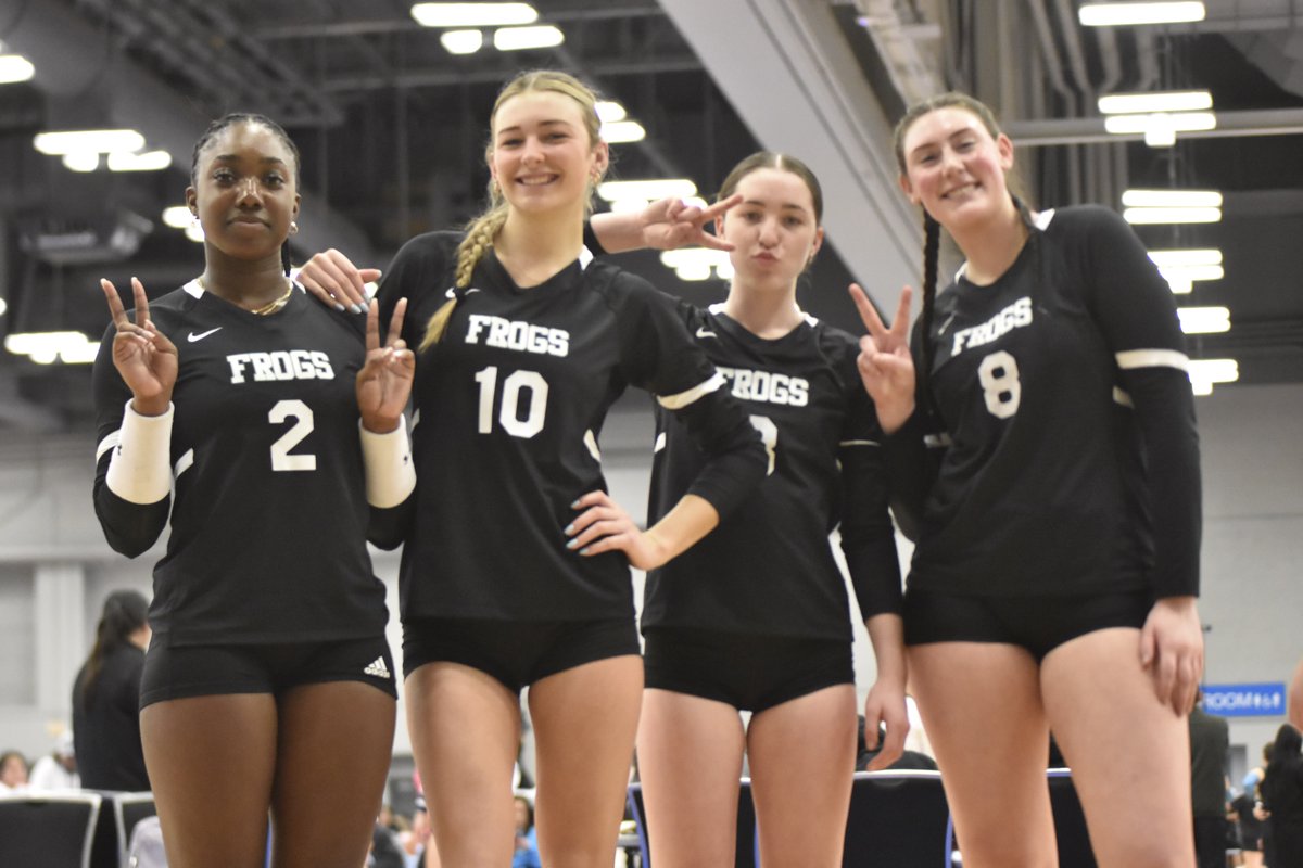 MadFrog182024 tweet media