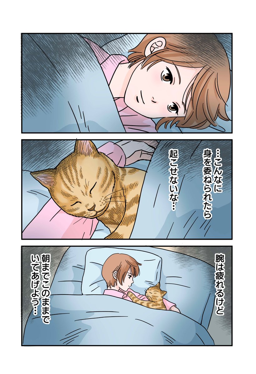 拘束ネコ

https://t.co/ZG5tgSB5TN 