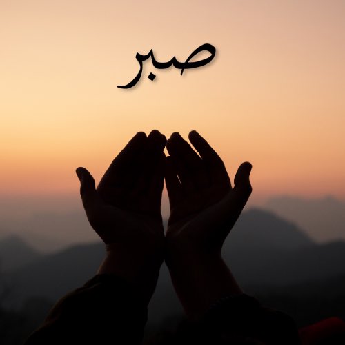 السلام علیکم 🌺🌺

صبح بخیر۔ 🌺🌸

*رسول اللہ صلی اللہ علیہ وسلم نے فرمایا:*

 *اللہ تعالیٰ فرماتا ہے کہ میرے اس مومن بندے کا جس کی، میں کوئی عزیز چیز  دنیا سے اٹھا لوں اور وہ اس پر ثواب کی نیت سے صبر کر لے، تو اس کا بدلہ میرے یہاں جنت کے سوا اور کچھ نہیں*

*(صحیح بخاری، ۶۴۲۴)*