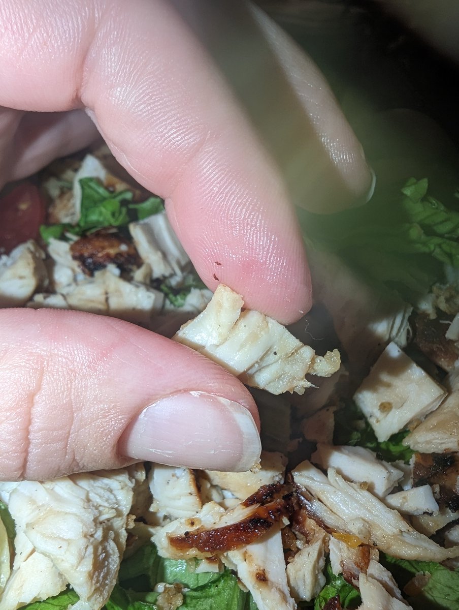 sXedgeKid's tweet photo. @Zaxbys My stepdad is legally deaf, so 
I'm sure the girls behind the counter thought he was yelling our order at them...and I understand being upset, but is that why my entire family got salads like this tonight? https://t.co/klBJybtwRo