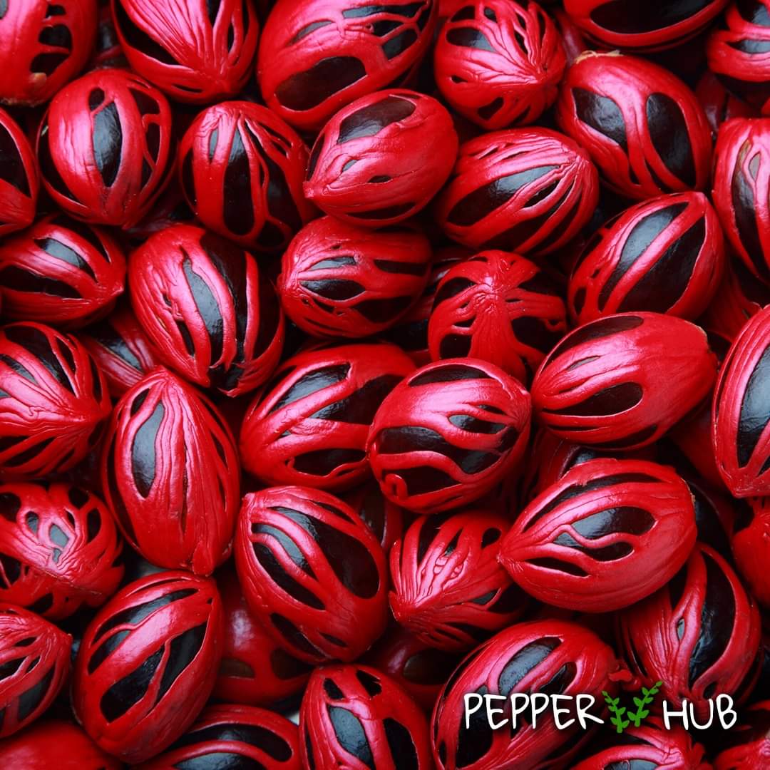 Pepper Hub tweet media