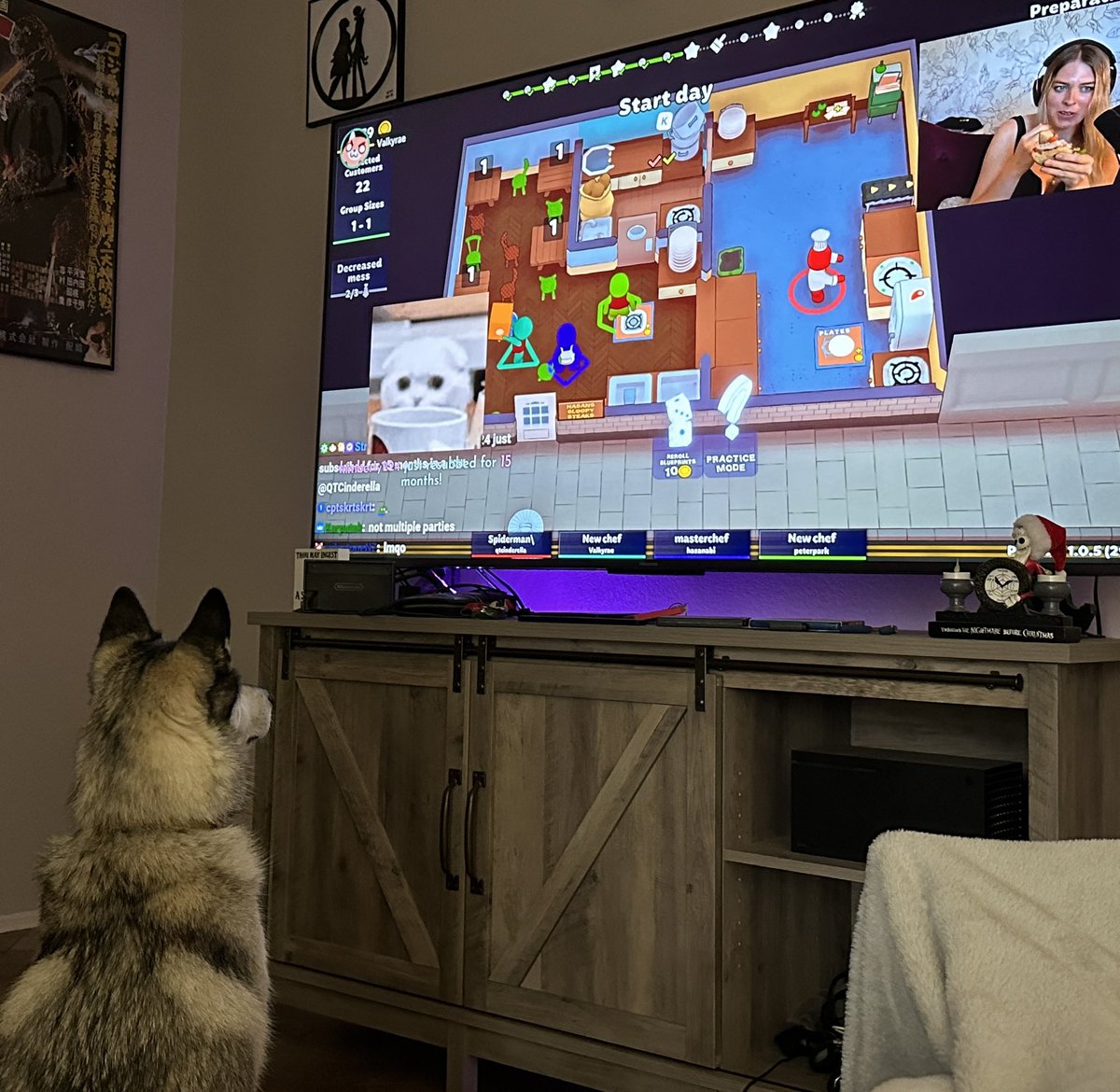 AvDkRob's tweet photo. @qtcinderella the only game Rupe will watch https://t.co/nuymwVixLh