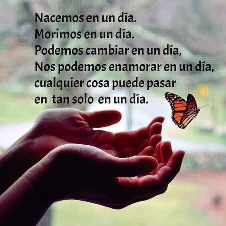 Paulo Coelho Español (@paulocoelhodice) on Twitter photo 