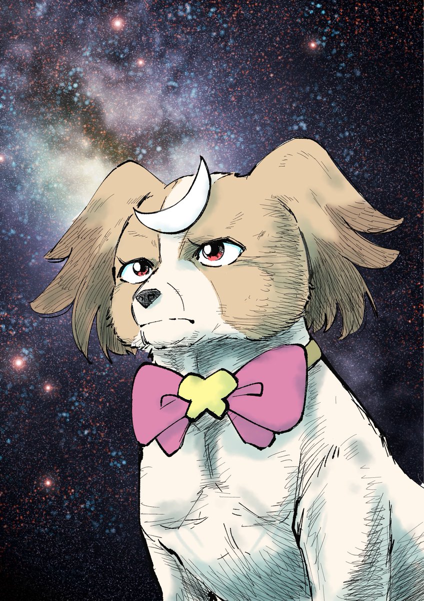 crescent bow meme dog no humans bowtie animalization  illustration images